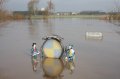 Hochwasser Seligenstadt 18.01.2011 009
